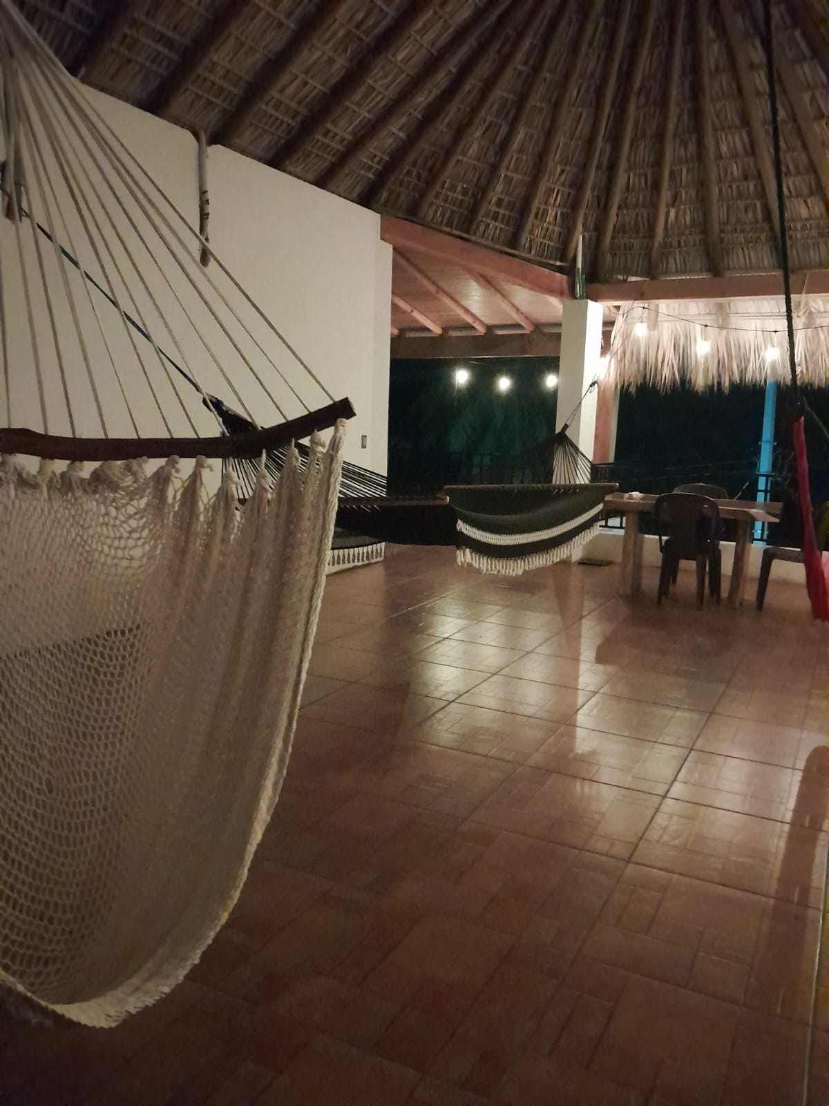 Palapa